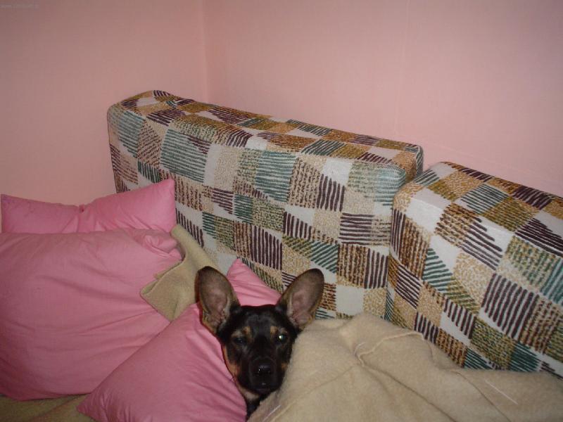 Foto: Pro� m� bud�te?-Nevid�te, �e jsem unaven�?