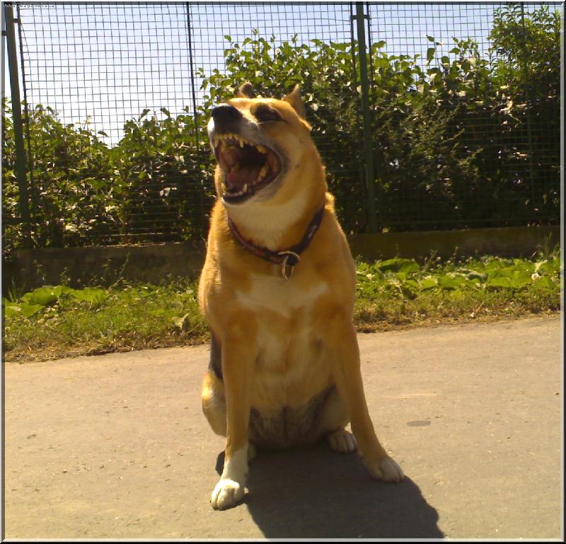 Foto: Anu�ka-Tady hl�d�m j�!