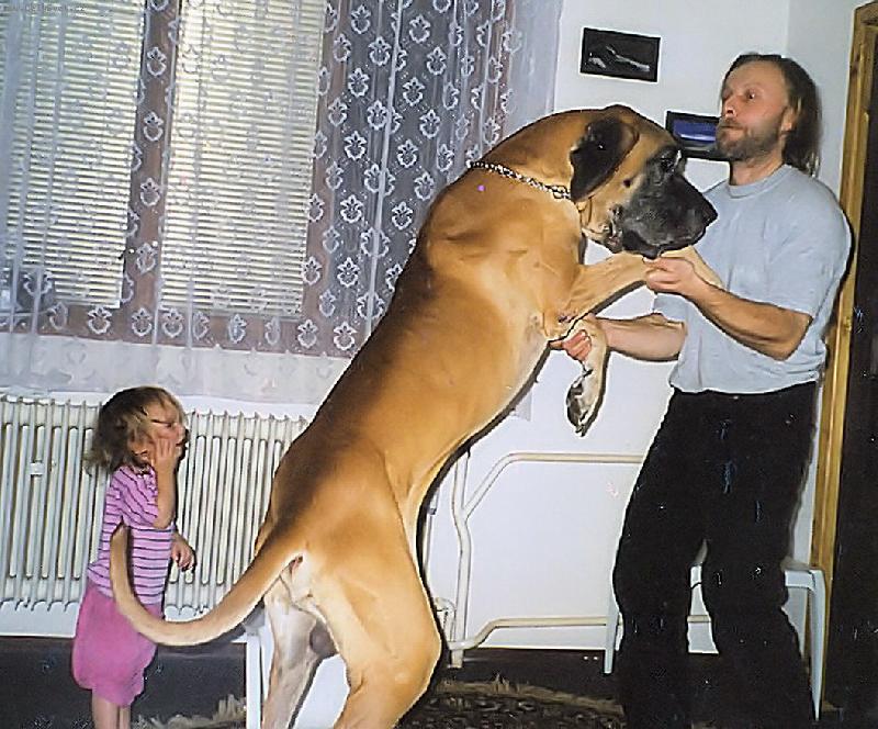 Foto: Tak� tak vyrostu?