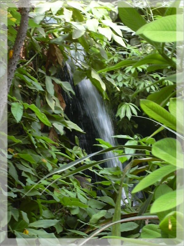 Foto: Z tropick�ho sklen�ku v ZOO Safari