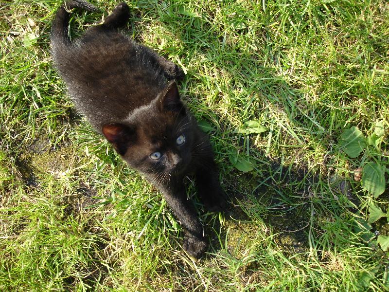 Foto: Ted��ek-pohodi�ka