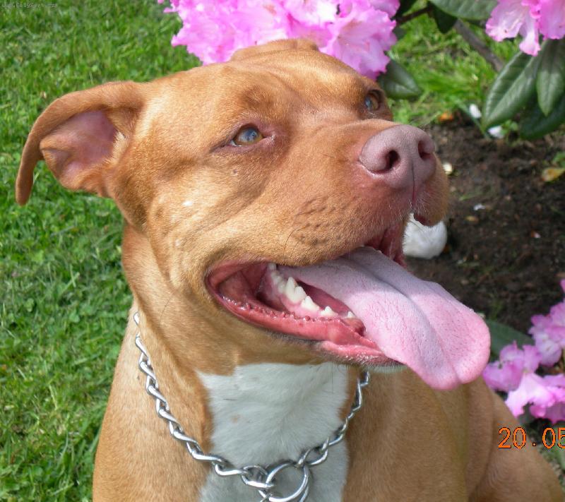 Foto: To mi to ale slu��, �e?-Bullynka