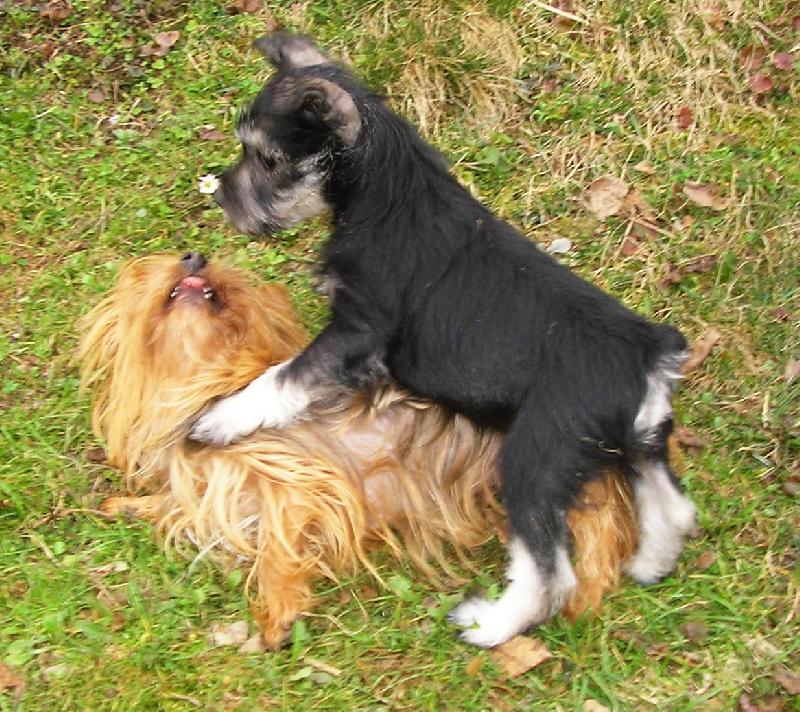 Foto: BENNY-ze by nevesta?