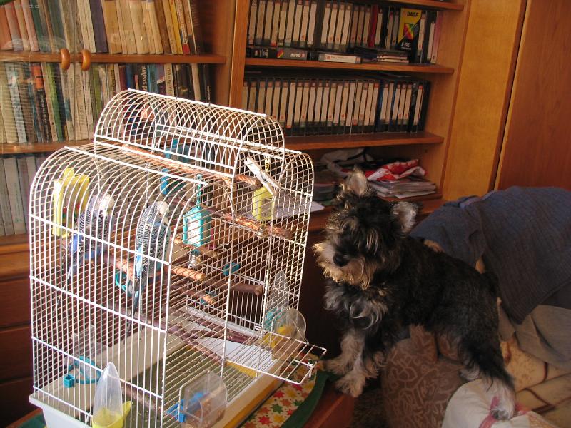 Foto: BENNY-musim na ne dohlizet