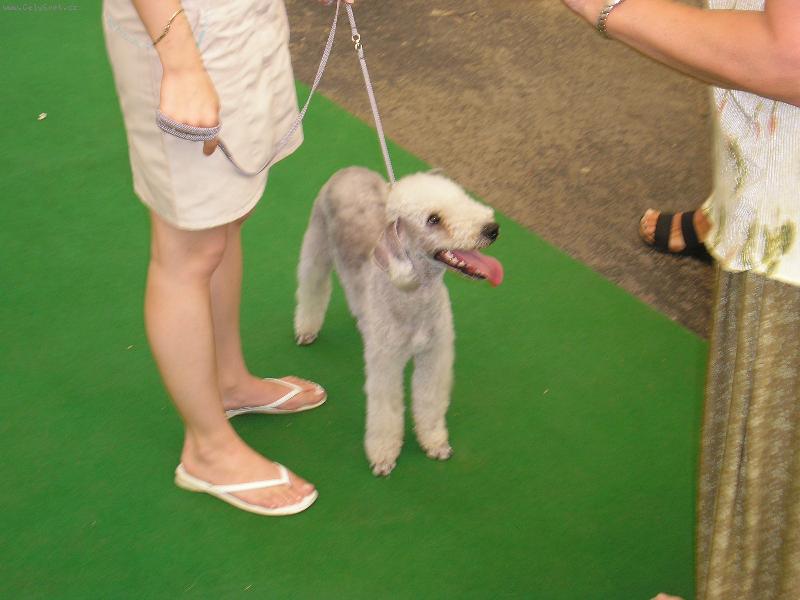 Foto: Asi tak se m�m usm�vat?:)-na�e prvn� v�stava