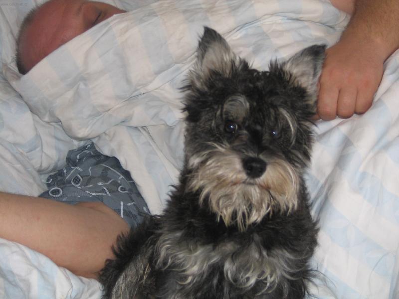 Foto: BENNY-jeste ho nech spat