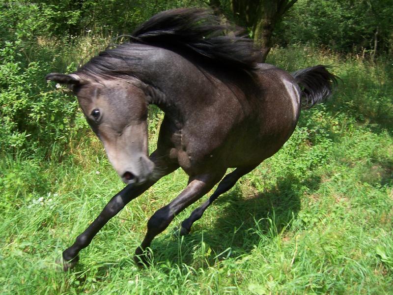 Foto: Radost z pohybu