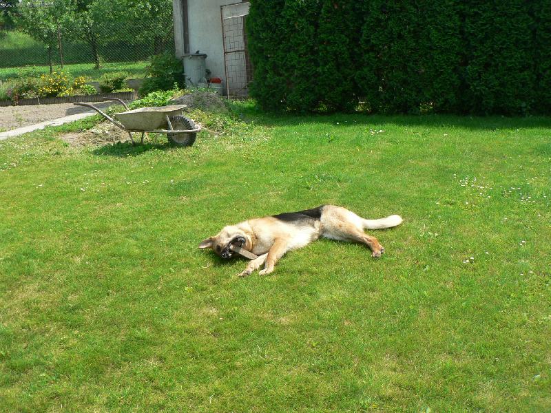 Foto: Yvarka-takhle si nejrad�ji hraju