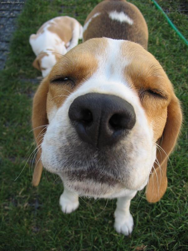 Foto: Eli�ka-Strk�m �um�k kam nem�m?