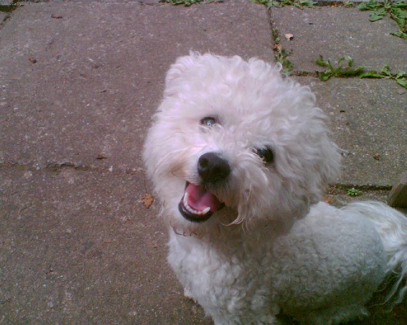 Foto: poj� si hr�t!-N� �ol��ek