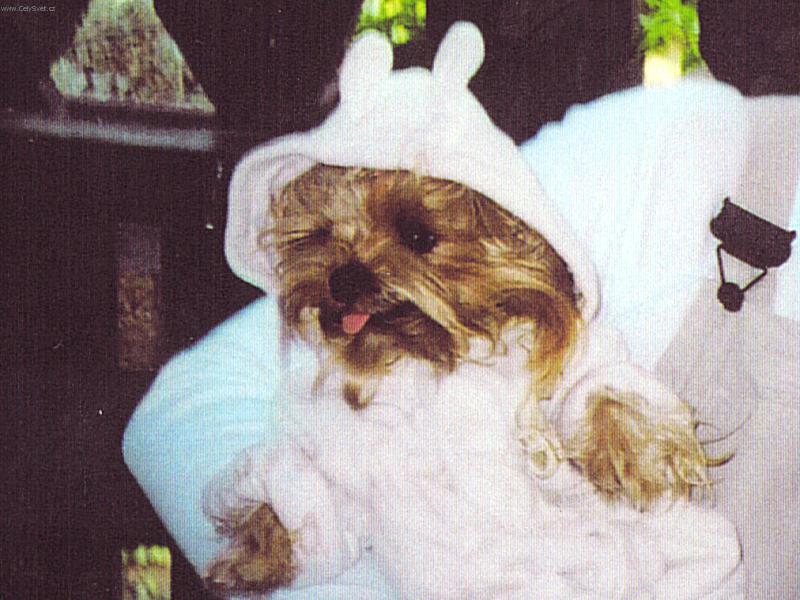 Foto: Laky-Na�e d��tko