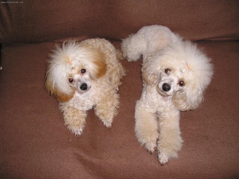 Foto: Na�i mil��ci-Aischinka a Akimka