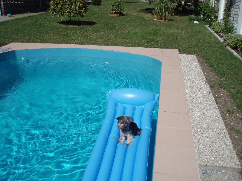 Foto: Baru�ka-na leh�tku