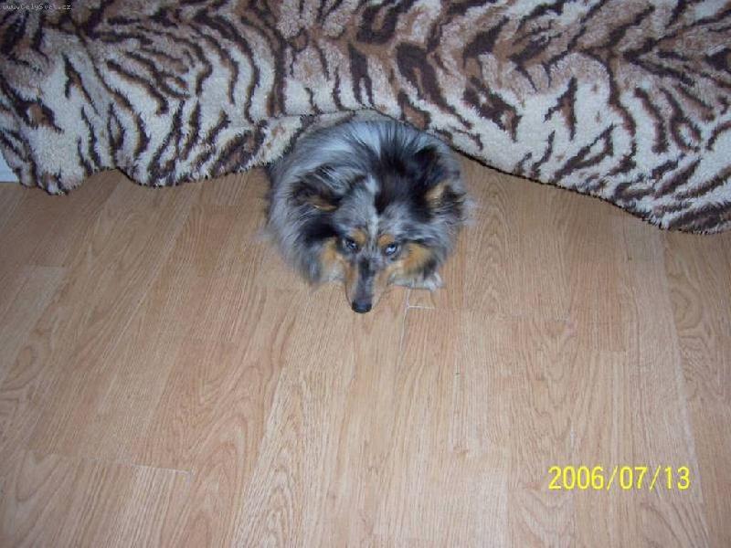 Foto: D�esinka se urazila-Te� tady budu tak dlouho dokud si m� neudob��te