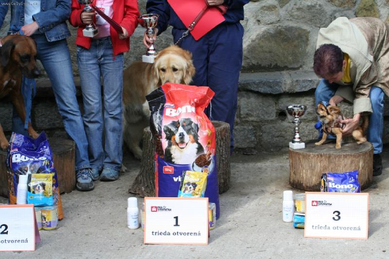 Foto: ...ja sa v�s neboj�m-odovzd�vanie cien na s��a�i Pes Sympa��k