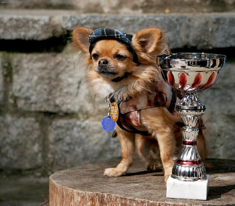 Foto: Riky na stupni v�azov-...aj tak som vy��� ako moja v�hra...