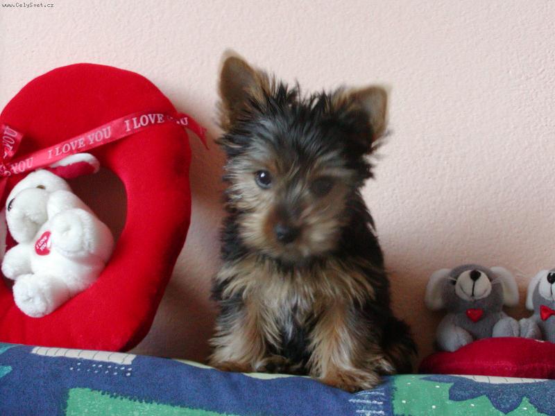 Foto: Moje prvn� hra�ka