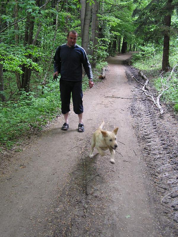 Foto: P�n��ek a n� Andy v akci-Tohle v�echno d�l�m, kdy� m� p�n��ci vezmou na proch�zku!