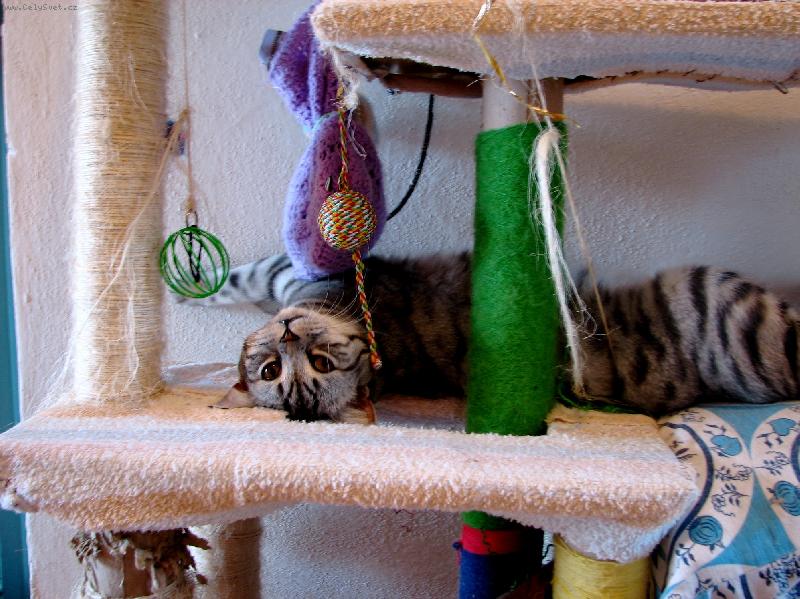 Foto: takhle se odpo��v� na �krabadle..