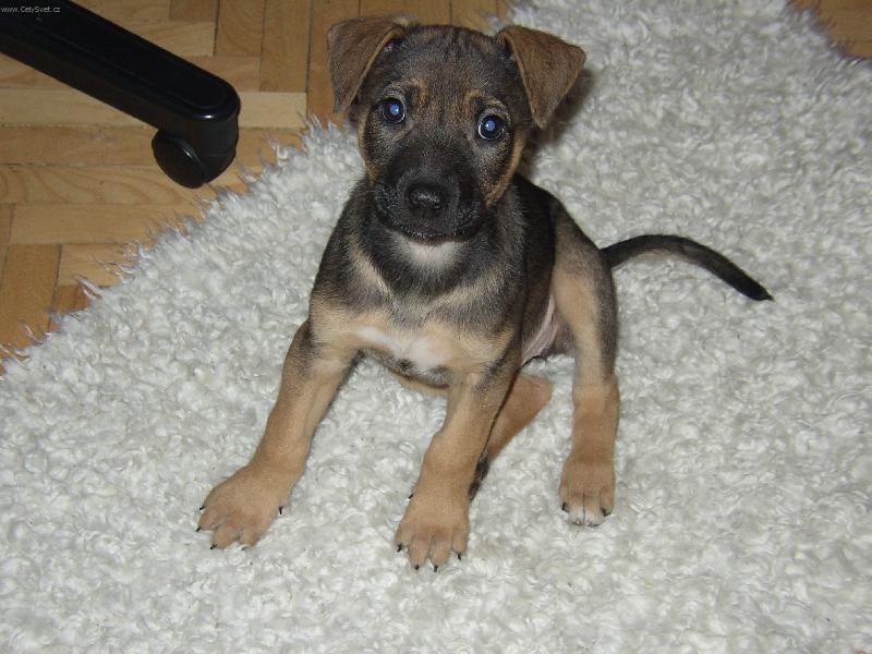 Foto: Princezna-Princezna....