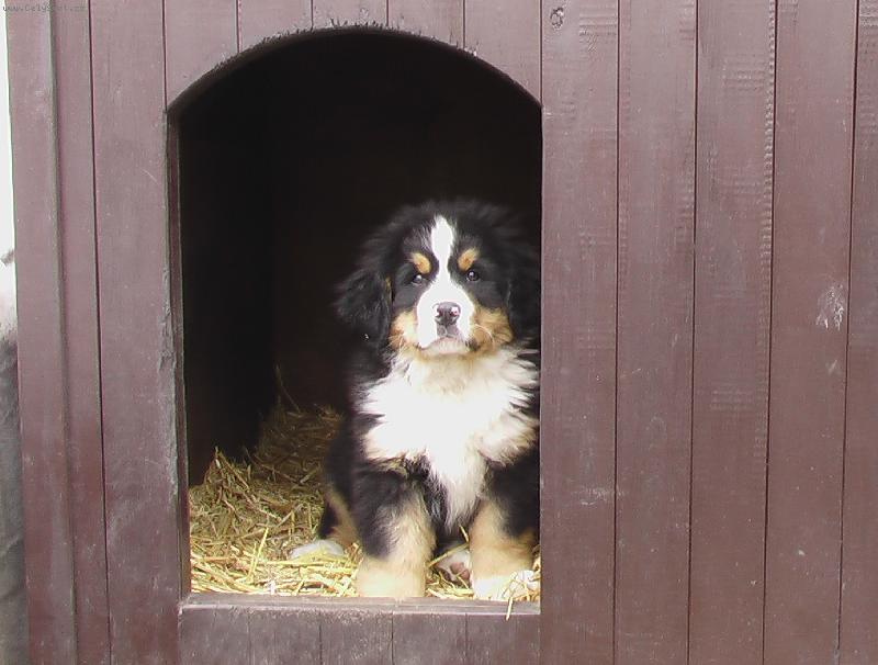 Foto: M�j nov� domov-velk� hl�da�