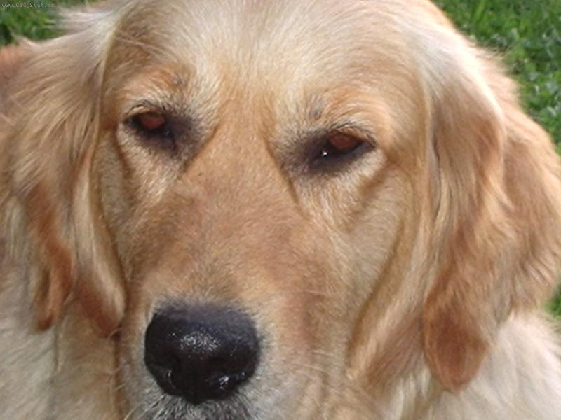 Foto: Portr�t Vikinky-Slu�� mi to, �e?