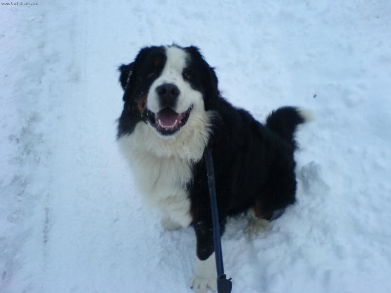 Foto: Zdravim cely svet