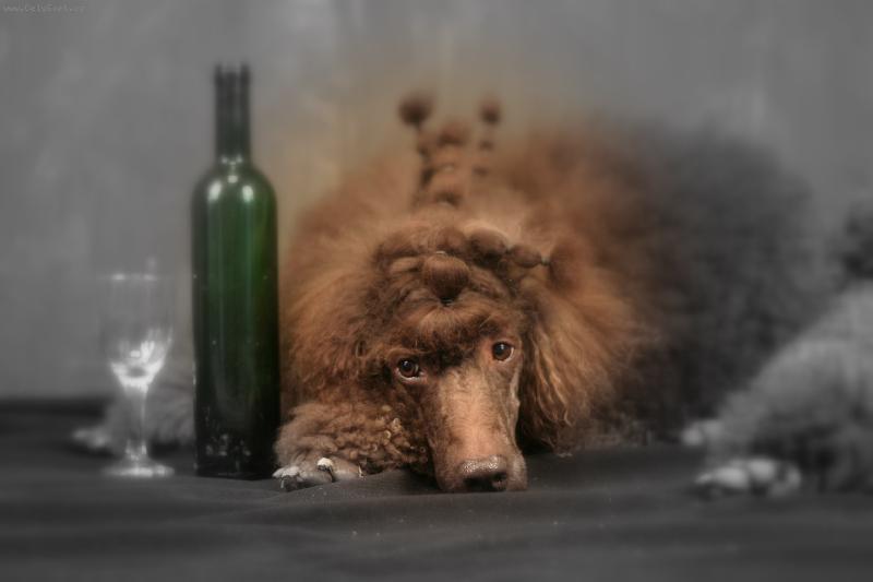 Foto: Pf 2005-priprava, na buduce Pf-ko 2006