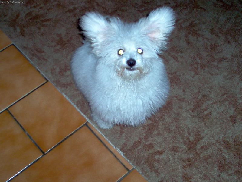 Foto: Chudinka Julinka-"...ale j� opravdu nejsem na baterky..."