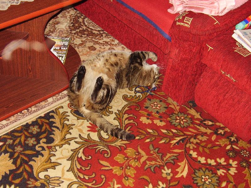 Foto: vyt�hnu to -...-u� to skoro m�m ... moment��ek ...