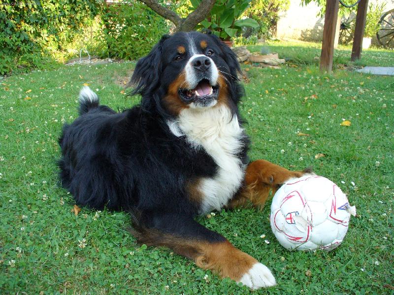 Foto: za�ut�me si?