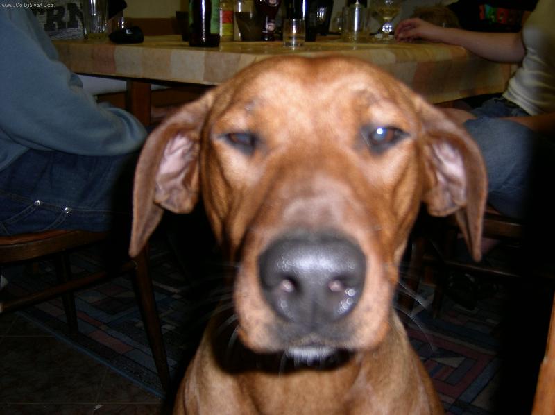 Foto: to mi to slu�� takhle zbl�zka!