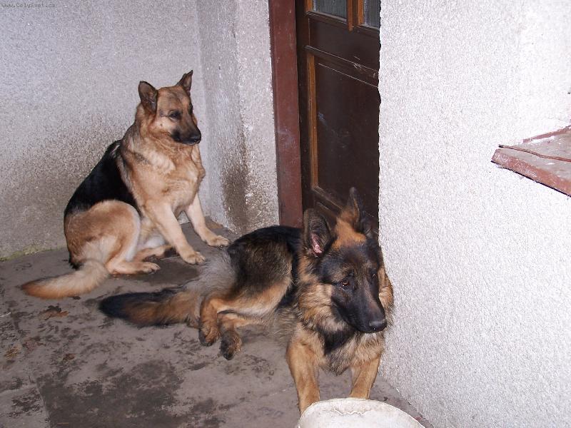 Foto: Na�i hl�da�i