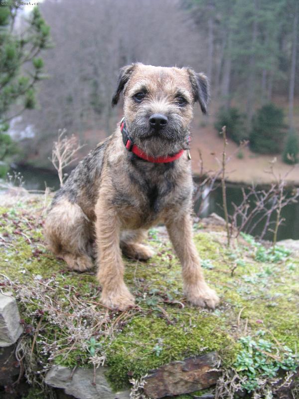 Foto: Podzimn� krasavice-Na proch�zce v parku