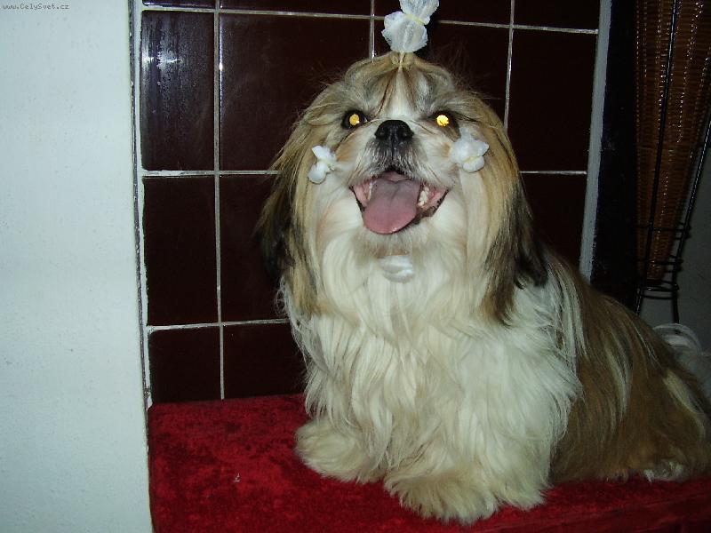 Foto: To je ale sranda!Pro� se tak ksicht�?