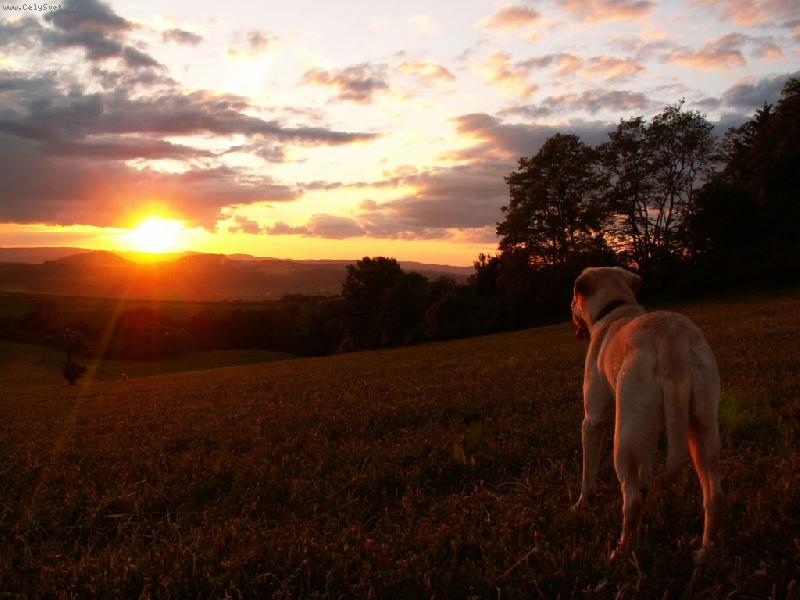 Foto: Bax-Dobrou noc :)