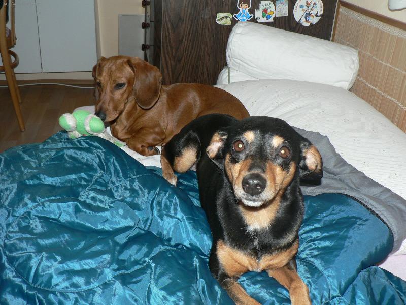 Foto: Lotynka a Sendynka-A kde budete sp�t vy?