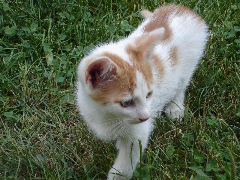 Foto: pohoda-I j� si r�da odpo�inu