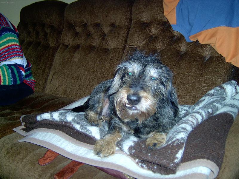 Foto: Bar�nek-Bar�nek je stra� �t�tka na fla�ky!:)