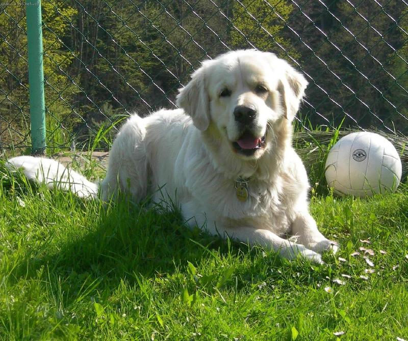 Foto: Dastynek-Poj�te si hr�t!