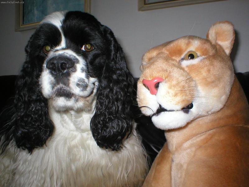 Foto: to� kdo je tady �elma