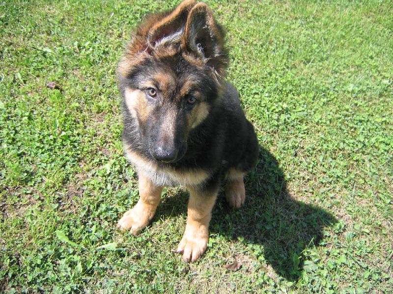 Foto: Kazan-Tady m� zrovna t�i m�s�ce