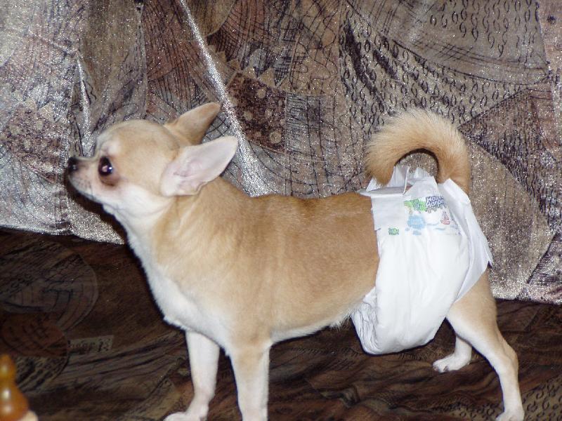 Foto: reklama na pl�nky :-)