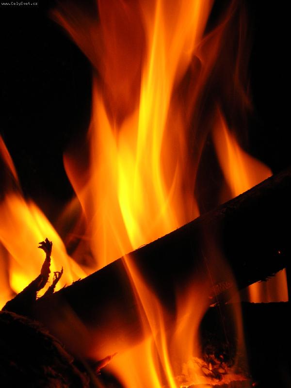 Foto: Plameny