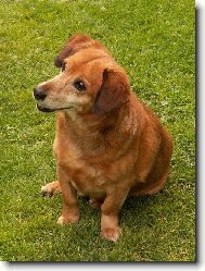 sm�j�c� se �kub�nek