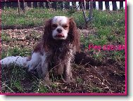 A um�vat se nebudu!!!!