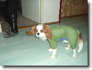 nezd� se v�m, �e jsem n�jak vyrostl