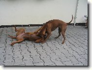 ...a m�m mamku na lopatk�ch...