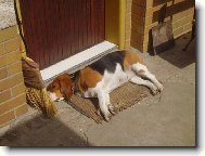 Tady str�im po��d j�...!