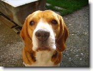 Pros�m...daj mi ochutna�!